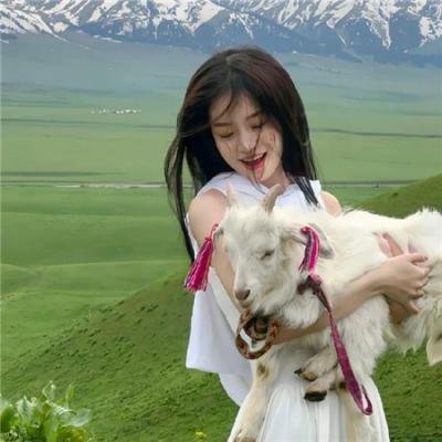 美女食神海报