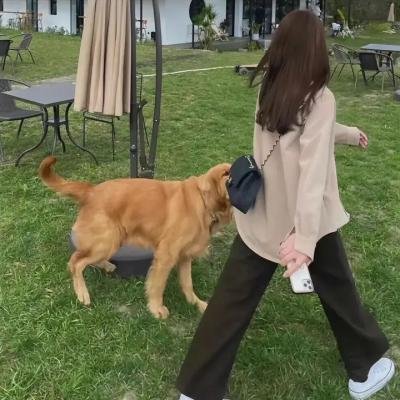 永恒剑祖海报